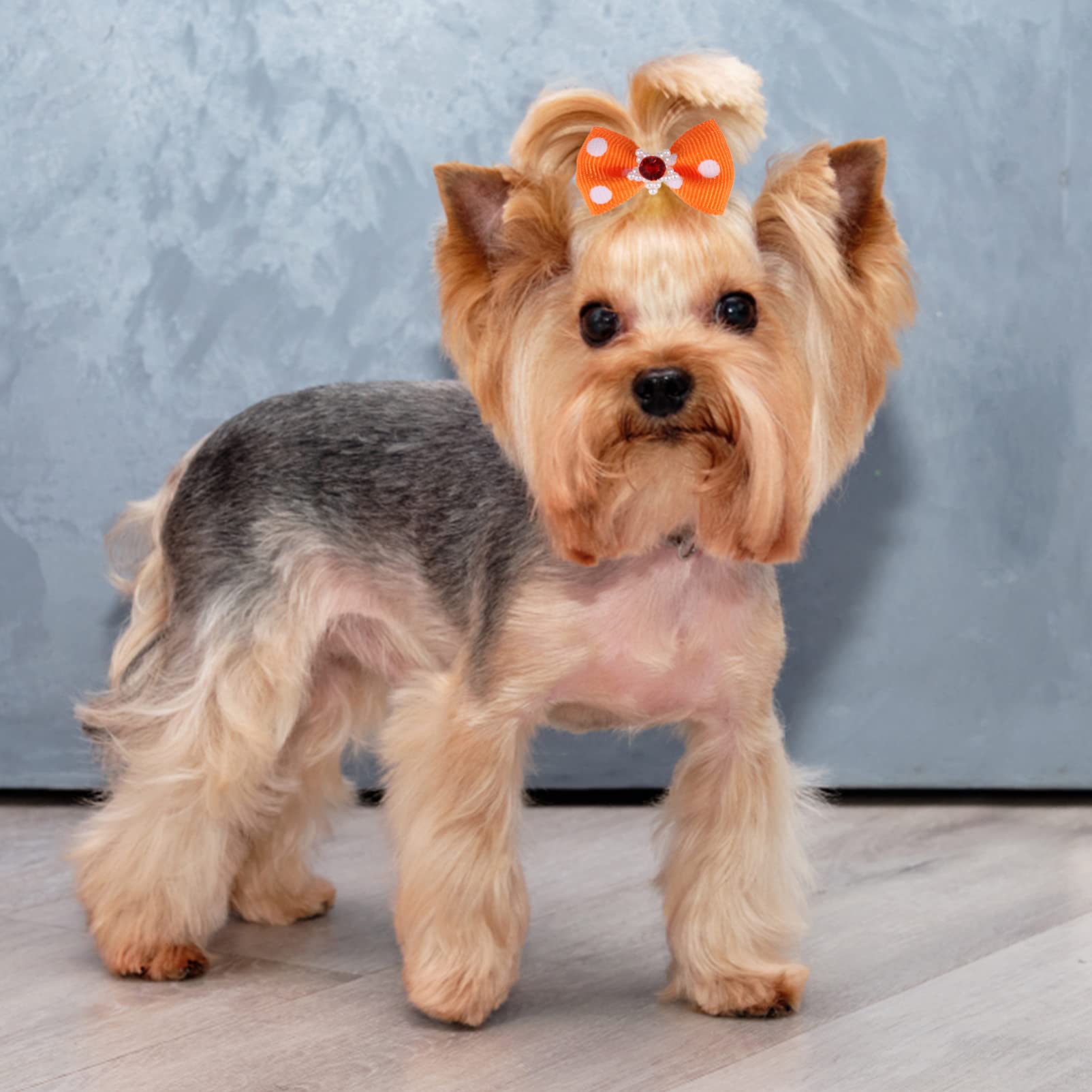 Ipetboom Dog Bows, 50 Pcs Cute Dog Bows Puppy Bows with Rubber Band Cute Small Dog Hair Bows Pet Hair Tie
