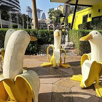 木彫りのバナナ Amazon.co.jp: バナナダック, 写真 バナナダックバナナダック