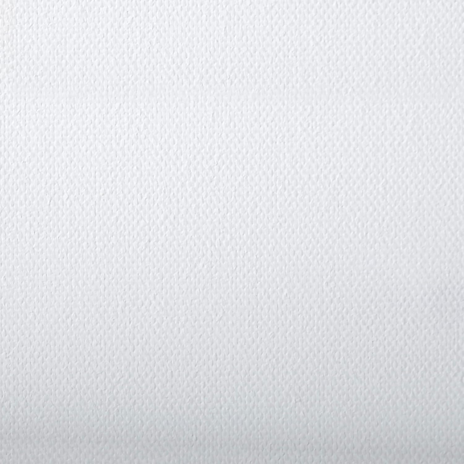 Juego de 10 Bastidores, Lienzos en Blanco de 20 x 30 cm, 100% Algodón, 380 g/m², Lienzo para Pintar