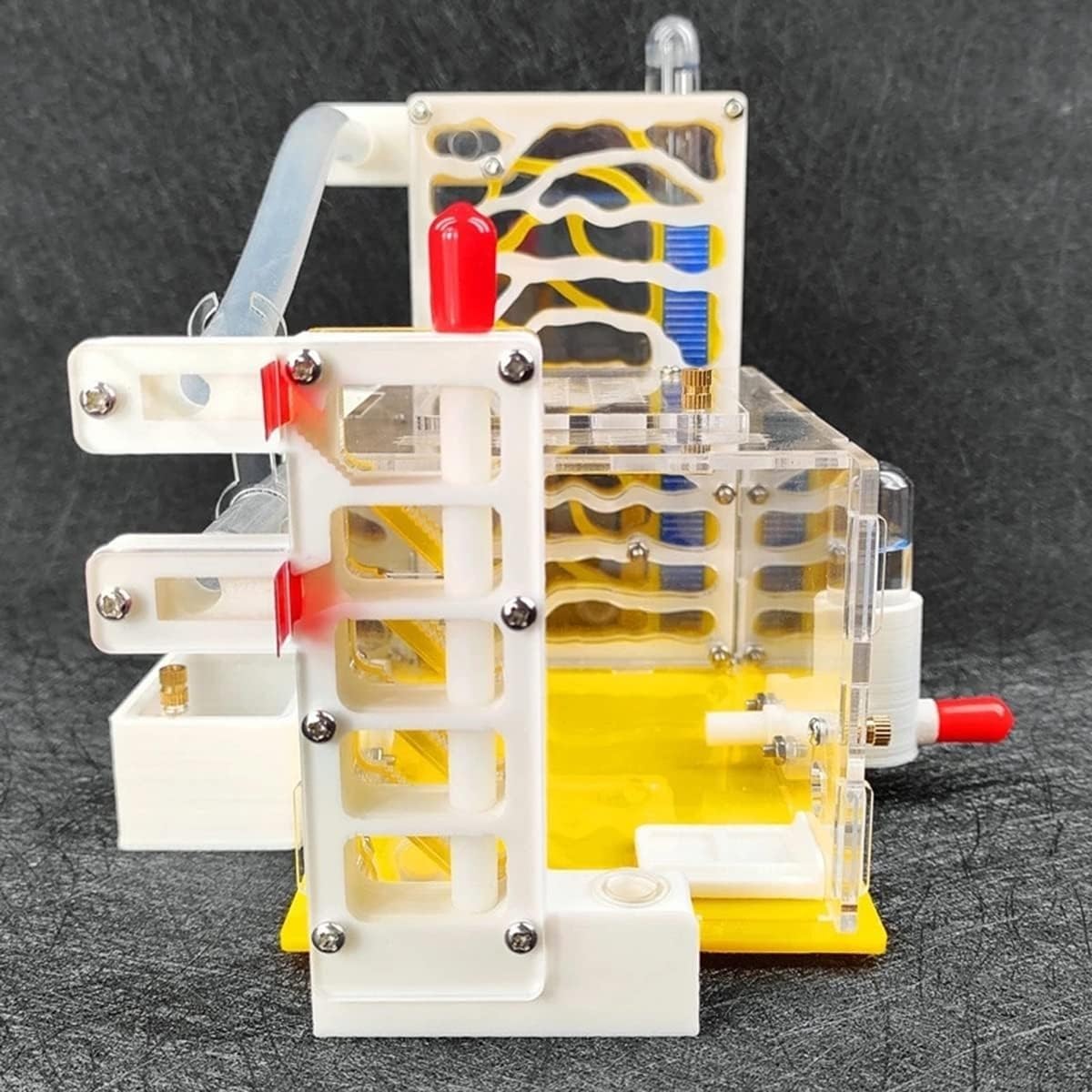 Farma Mrówek 3D Akrylowe Gniazdo Mrówek DIY Farma Owady Mrówki Gniazda Willa Pet Mania Siedlisko Zwierzęta Domowe Są Ekologiczne Pudełko Gniazdo Terrarium(Yellow)