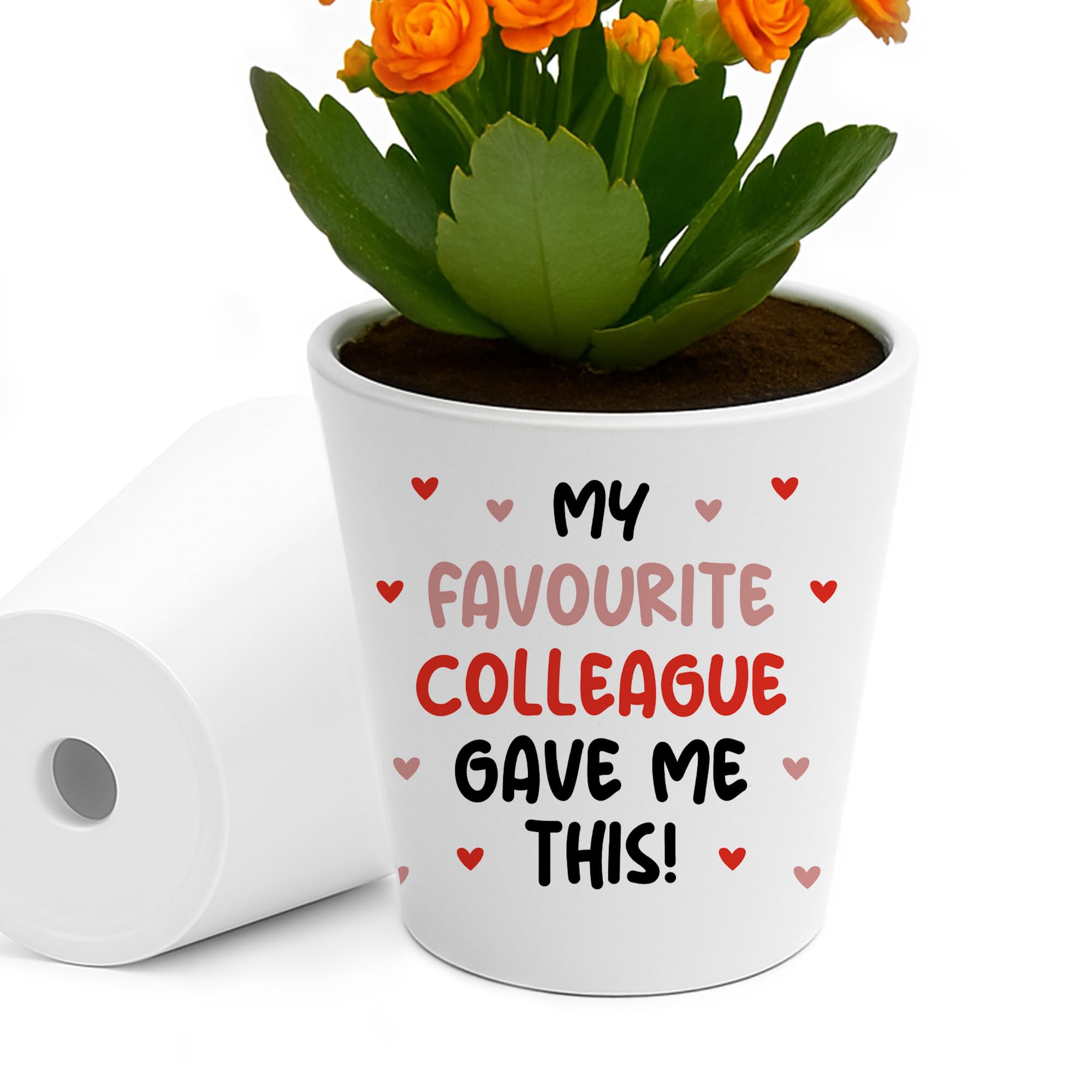 Red Ocean Funny for Colleague Birthday Christmas Flower Pot Favourite Colleague Gave Me This Thank You for Friendship Him Her Keepsake