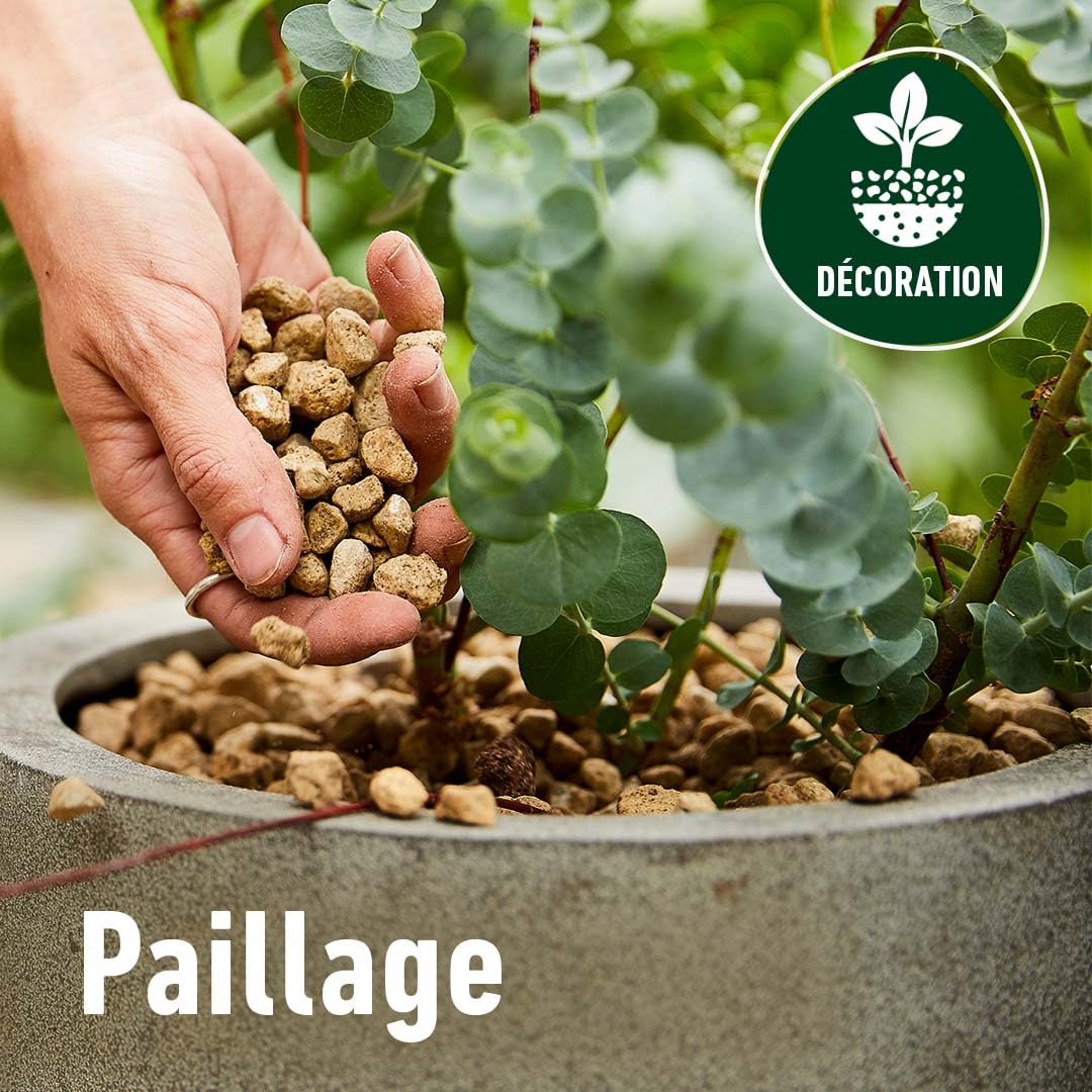 Algoflash Naturasol Granulado de drenaje y plantación – Piedra pómez 100% natural – Alternativa duradera a la bola de arcilla – 10 l