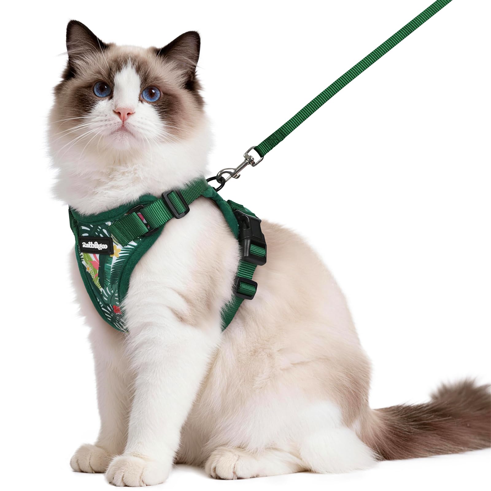 rabbitgoo Cat Harness and Lead Set, Adjustable Escape Proof Cat Lead for Walking, Reflective Kitten Harness Set, Soft and Comfortable for Kittens and Small Cats, Rainforest Green, M