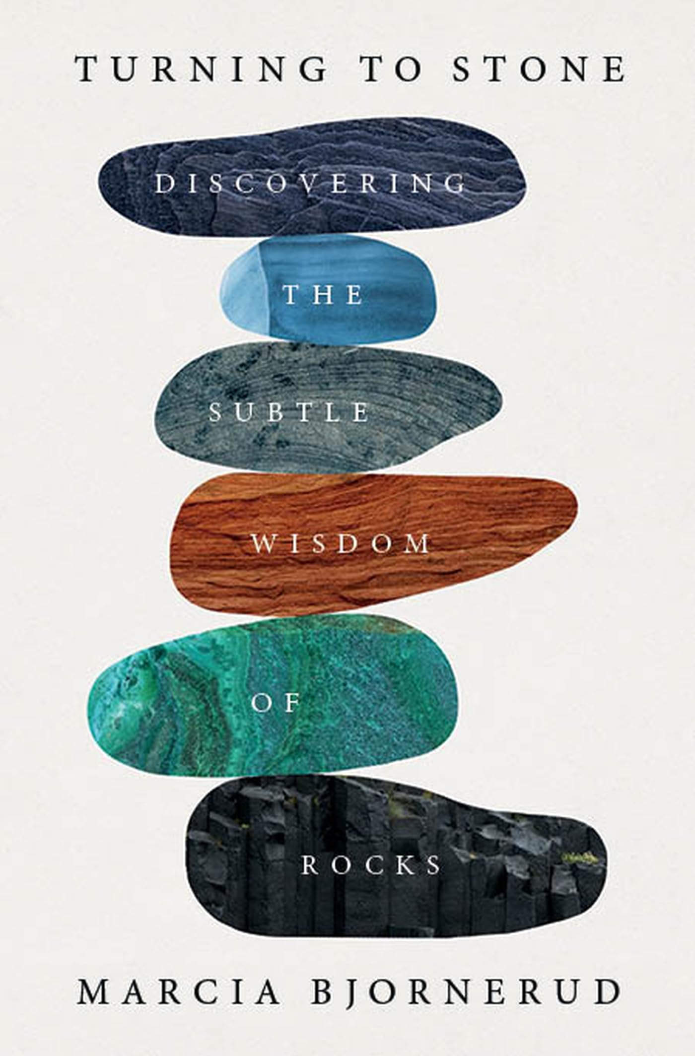 Turning to Stone by Marcia Bjornerud HARDBACK 9781472298454