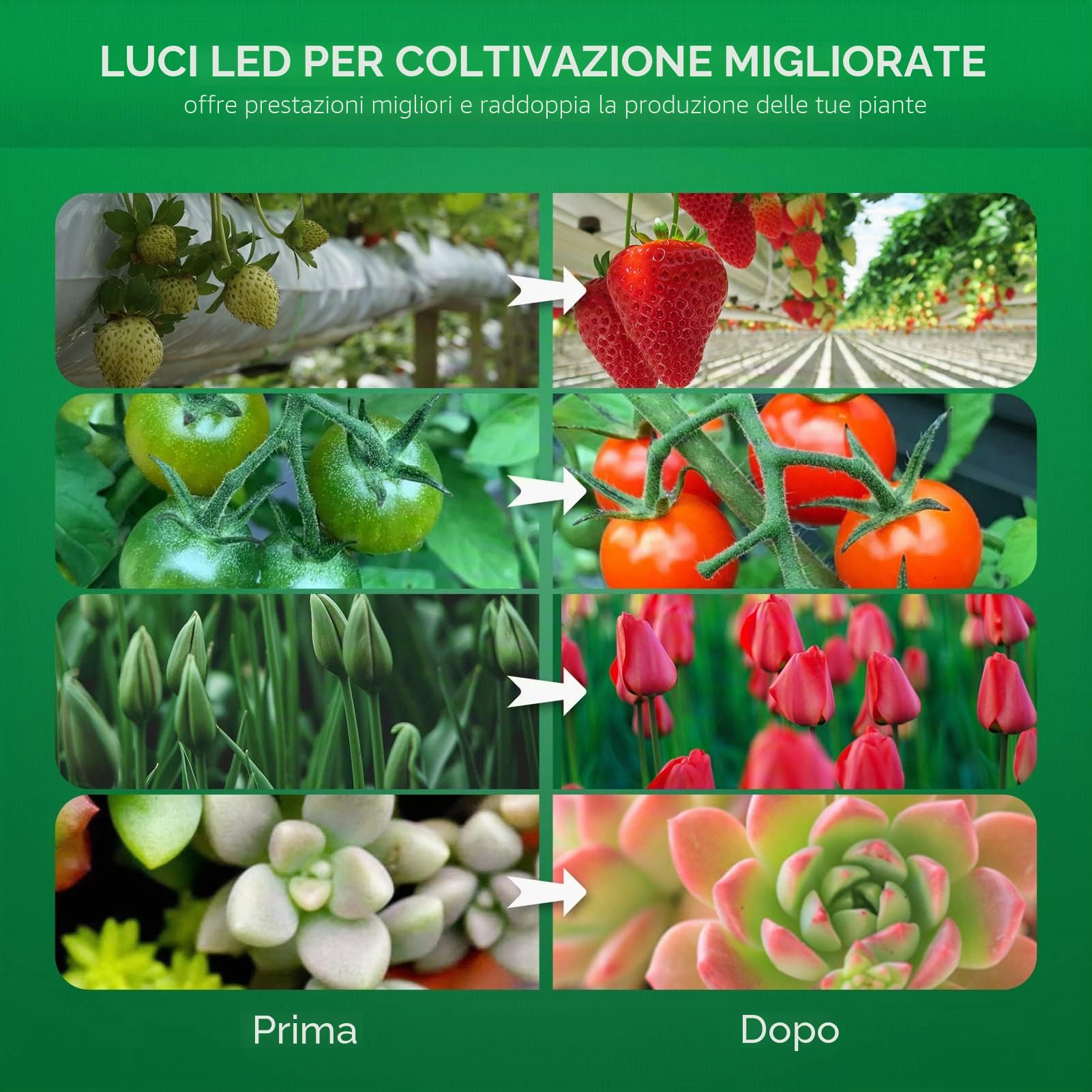 SANSI LED Grow Light per Piante da Interno, 1000W equiv. 2x4ft Copertura Luce di Coltivazione a Spettro Completo dimmerabile con Lente Ottica per Un Elevato PPFD