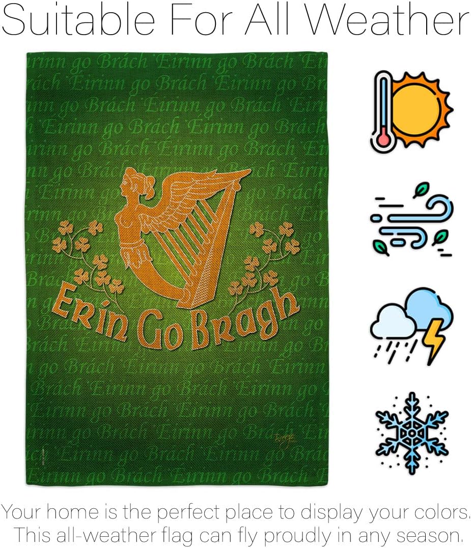 Breeze Decor Erin Go Bragh Set with Stand Springtime St Patrick Shamrock Leprechaun Lucky Coin Holiday March Irish Clover House Banner Small Yard Gift Double-Sided, Garden Flag 13"x 18.5", Made In USA