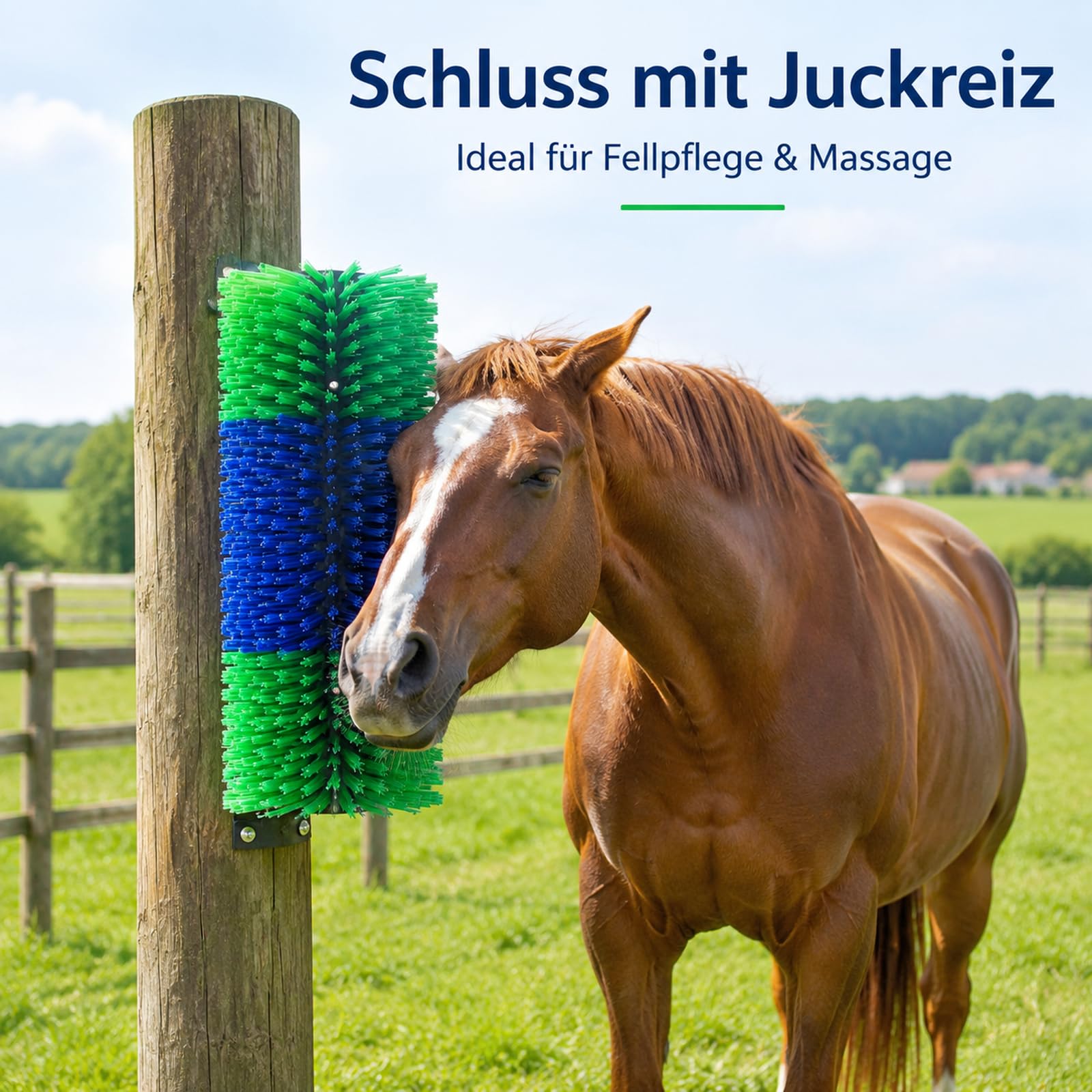 Kratzbürste Pferd, Pferdebürste und Mähnenbürste, Kuhbürste, Wurzelbürste für Pferdepflege, Massagebürste zur Linderung von Juckreiz für Haustiere wie Kühe, Schafe, Grün-Blau
