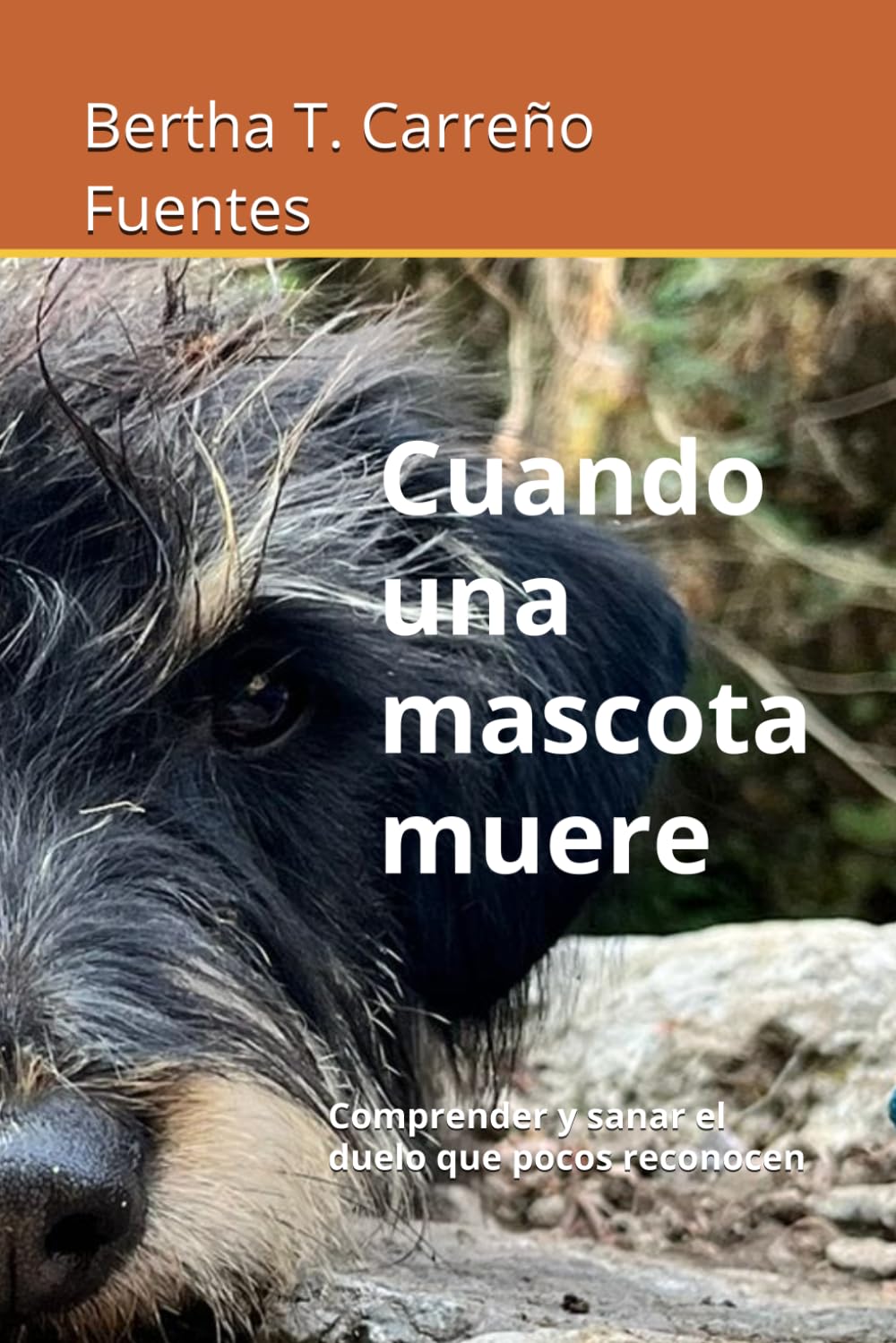 Cuando una mascota muere: Comprender y sanar el duelo que pocos reconocen