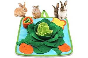 Rabbit Foraging Mat: Engage Your Bunny's Senses and Keep Them Happy