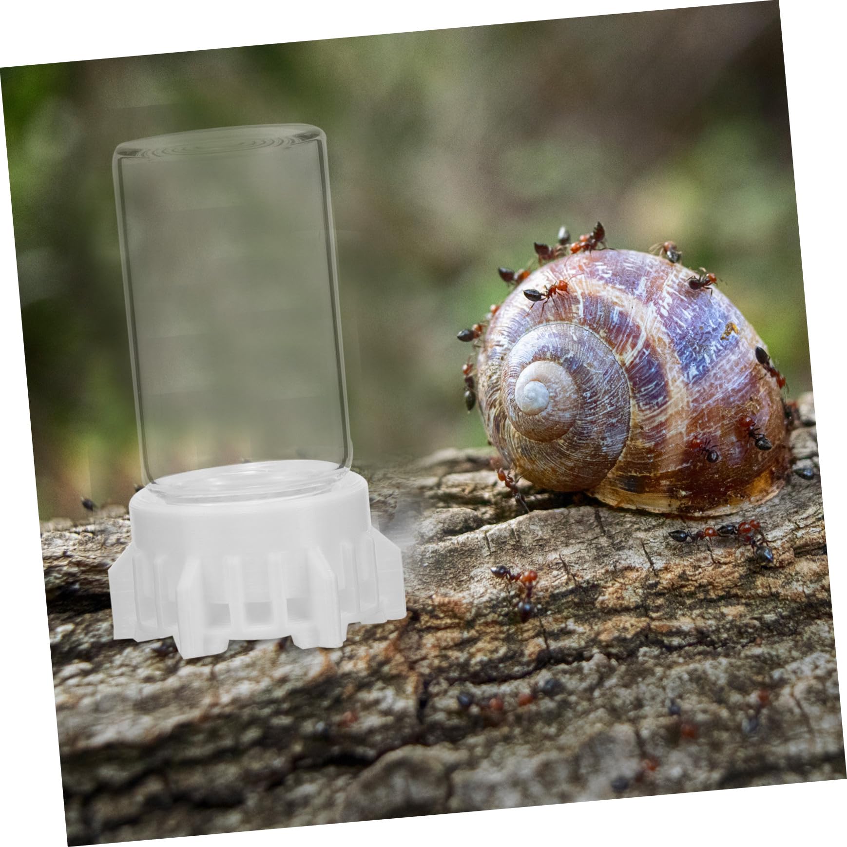 ifundom Bebedero para Hormigas Alimentador 20 Ml de Plástico Acrílico, Taza Pequeña para Riego Estable para Nidos de Hormigas, Uso en Terrarios para Insectos y Cuidado de Hormigueros — view 7