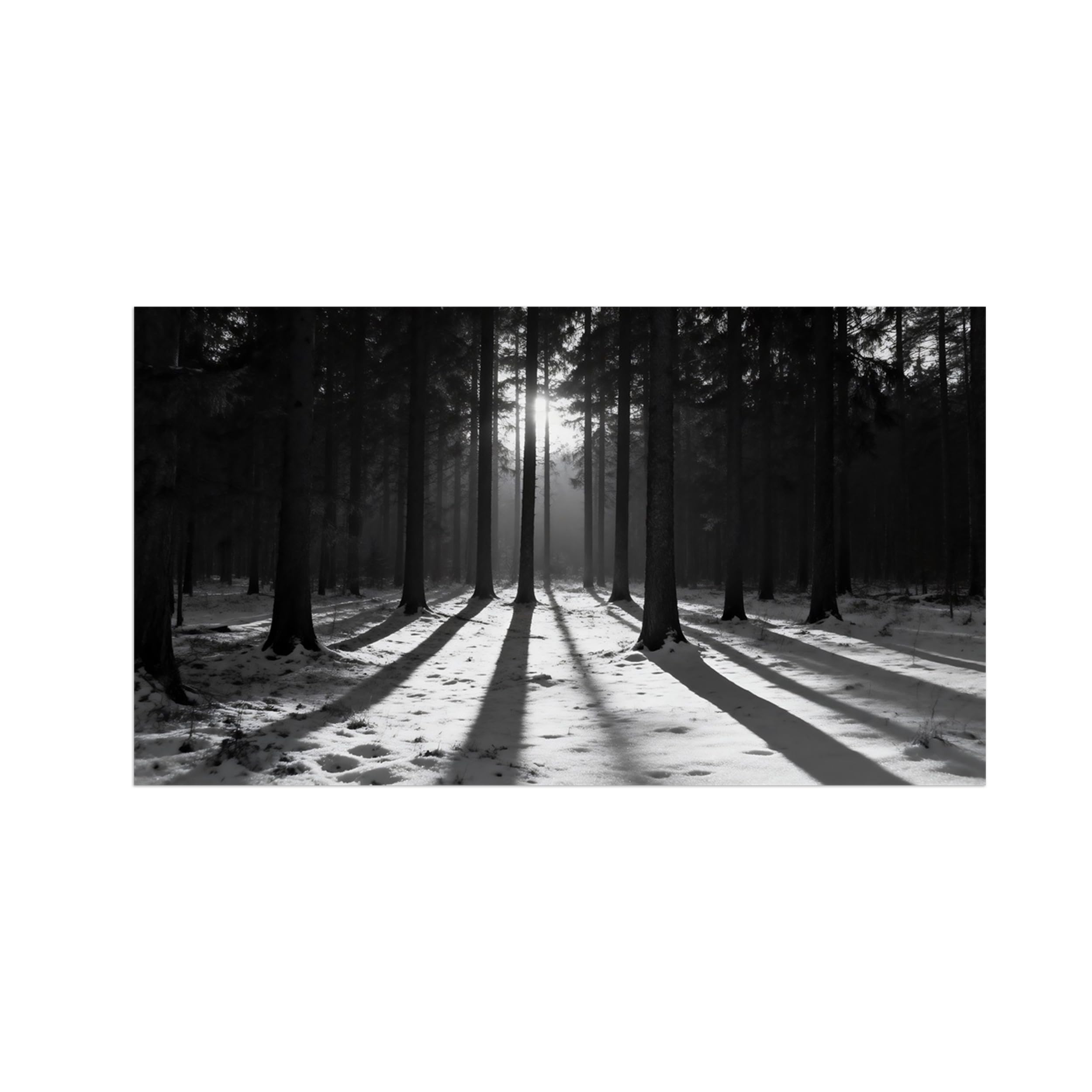 OZPWBVY Black and White Landscape Print Painting-Forest Tree 3-Minimalist Canvas Wall Art Picture for Home Decor 24x42in 60x108cm Unframed