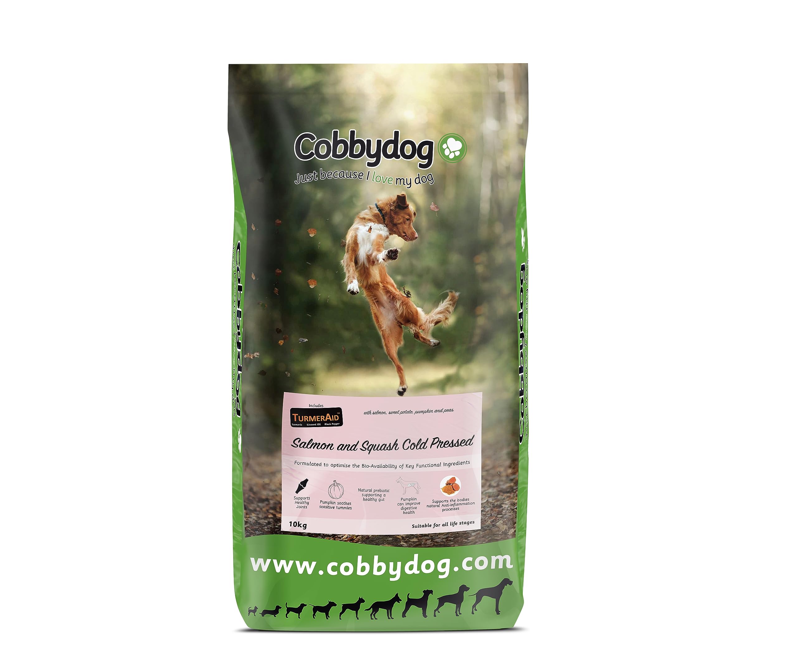Premium Salmon And Squash Cold pressed Dog food with added TurmerAid™ (10kg) Gluten Free