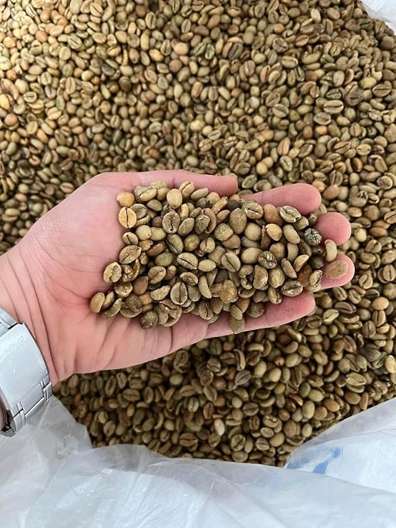 Excelsa Coffee Vietnam (Quang Tri) Green, 5 lb