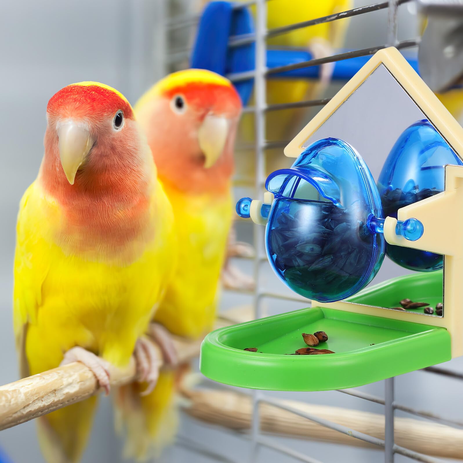 Sosoport Trainingsspielzeug Spielerisches Vogelfutterspielzeug Futter Papageien Leicht zu Tragen und Lagern aus Metall und Kunststoff zur Intelligenzentwicklung von Zufällige Farbe