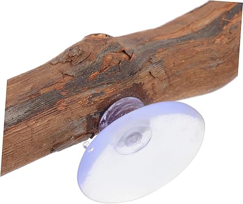 Miniatura 2 de Soporte de madera de uva dragón barbudo juguete succión árbol rama lagarto suministros decoración terrario