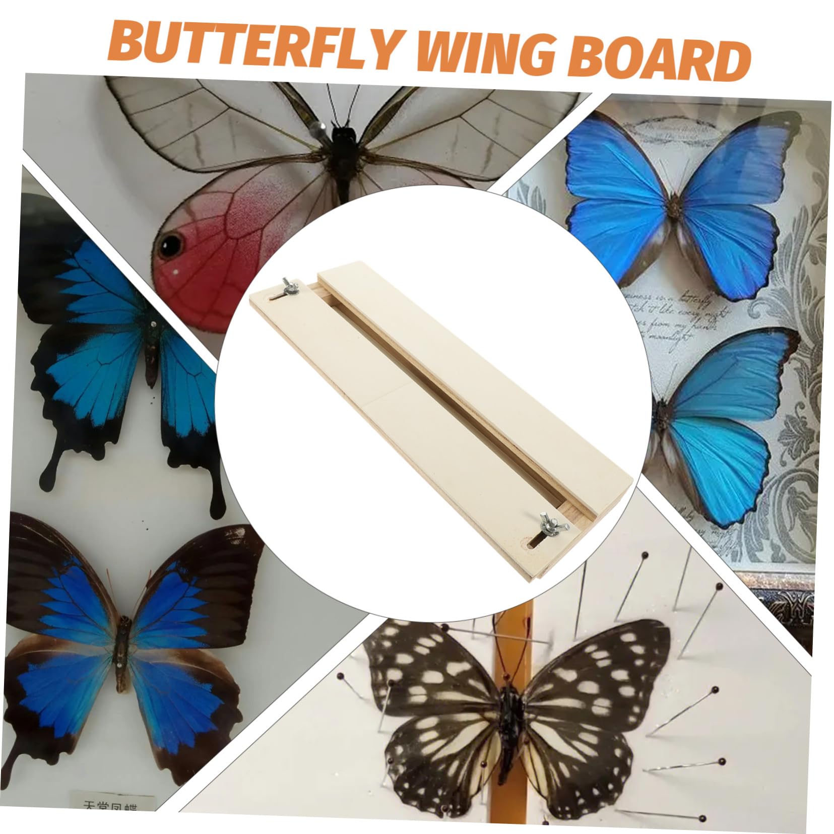 JEWEDECO Adjustable Butterfly Wings Display Board Specimen Pinning Board for Butterflies Decorative Wall Mirror