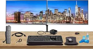 HP E233 23-Inch Monitor Dual Monitor Stand Wireless Keyboard and Mouse USB-C Dock Home Office Bundle