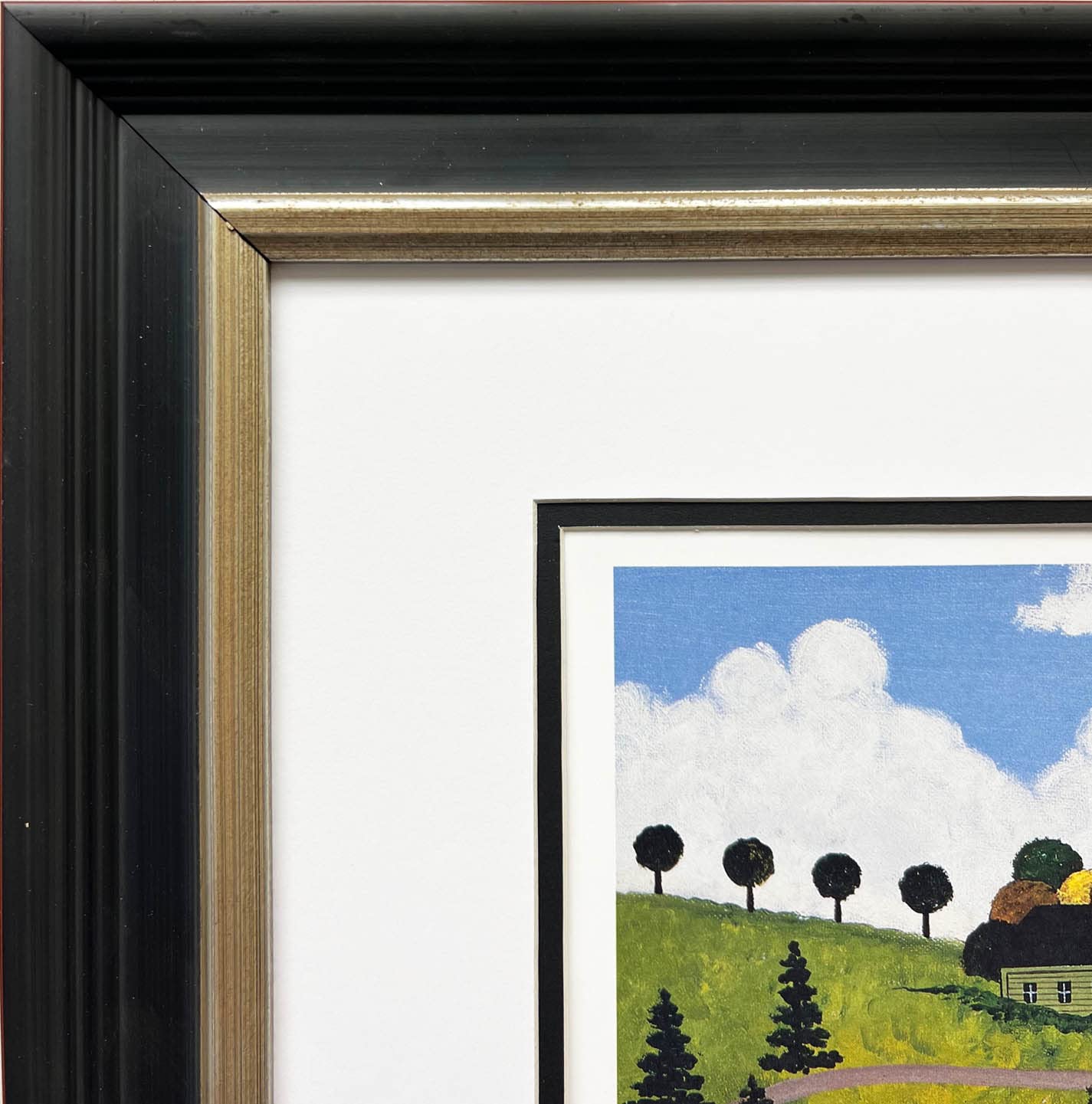 Amazon.com: Jane Wooster Scott Ego Trip CUSTOM FRAMED Litho Hand