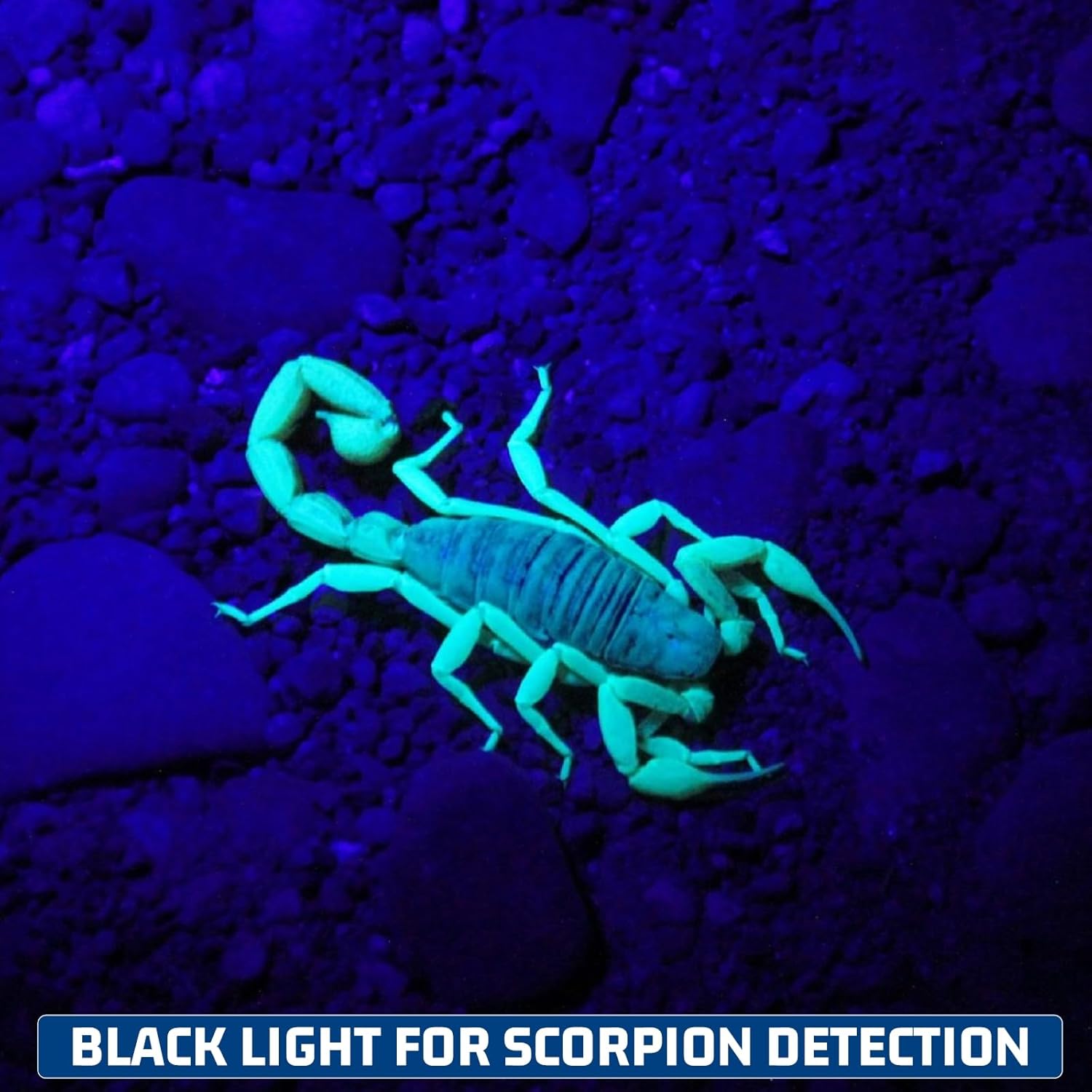 S3U UV Flashlight Blacklight, Rechargeable Powerful Handheld UV Light for Resin Curing, Pet Urine & Scorpion Detection, Rocks & Minerals Hunting (365NM)