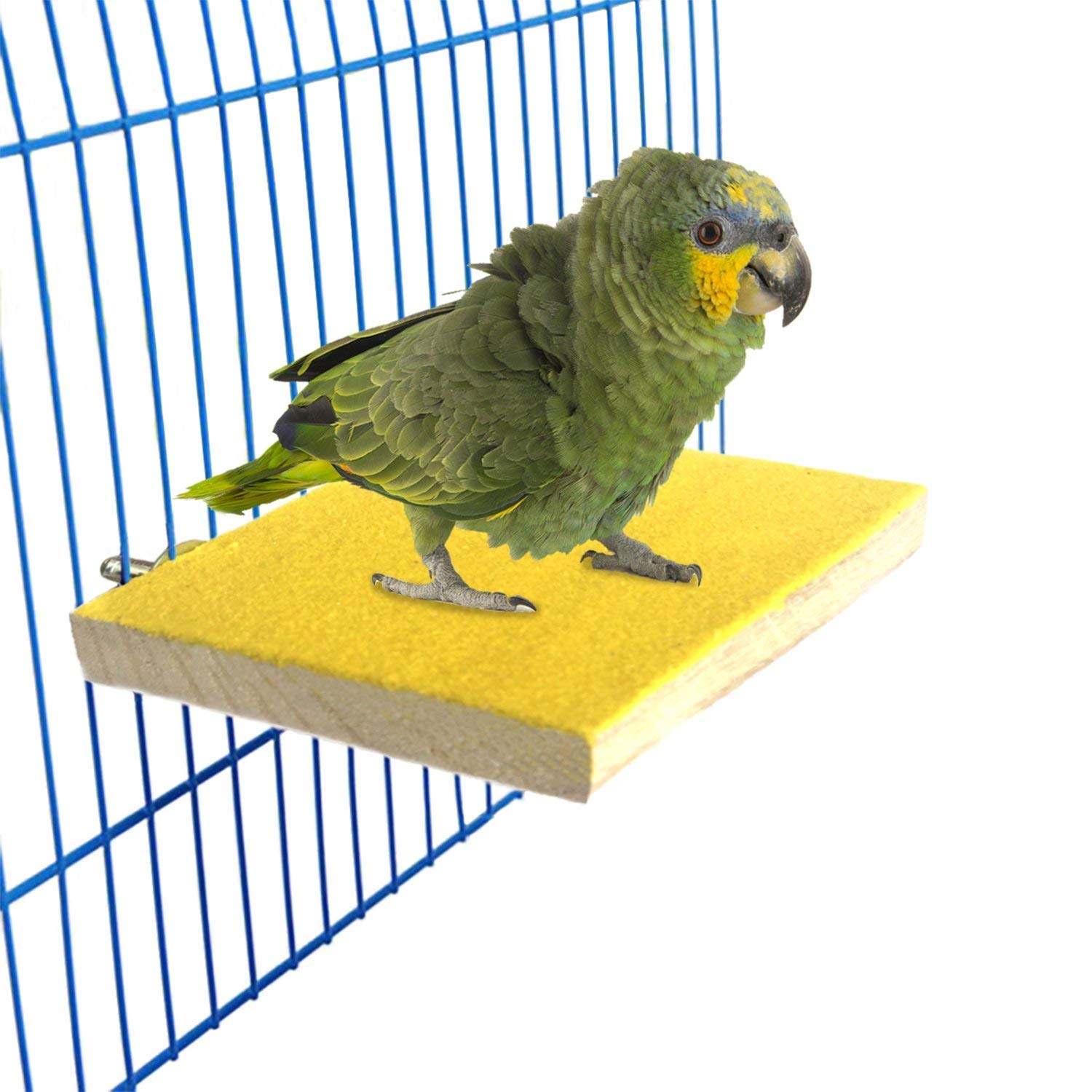 Colorful Bird Perch Stand Platform Natural Wood Playground Paw Grinding Clean for Pet Parrot Budgies Parakeet Cockatiels Conure Lovebirds Rat Mouse Cage Accessories Exercise Toys (Random)