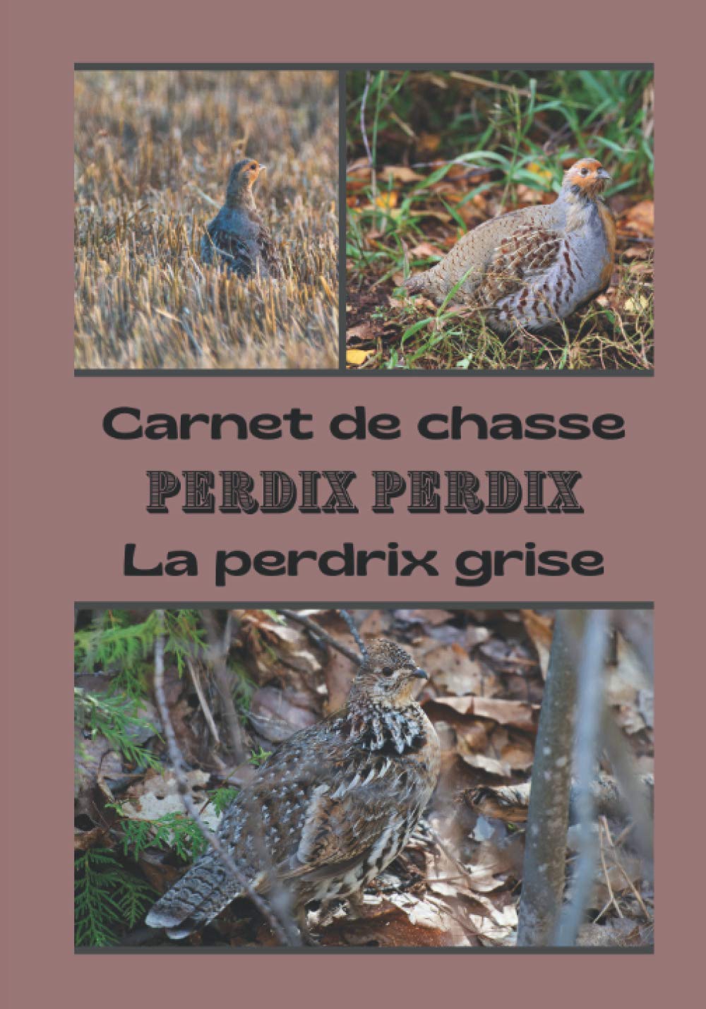 Carnet de chasse Perdix Perdix la perdrix grise: carnet de bord du chasseur de perdrix / cahier à remplir avec ses meilleures prises / livre de chasse à l'arrêt Paperback – 21 Dec. 2020