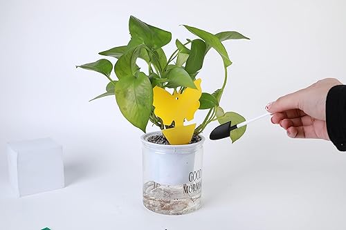 Miniatura 5 de Trampas prémium para moscas de la fruta, trampas para mosquitos de doble cara, trampas adhesivas amarillas impermeables ideales para exteriores,