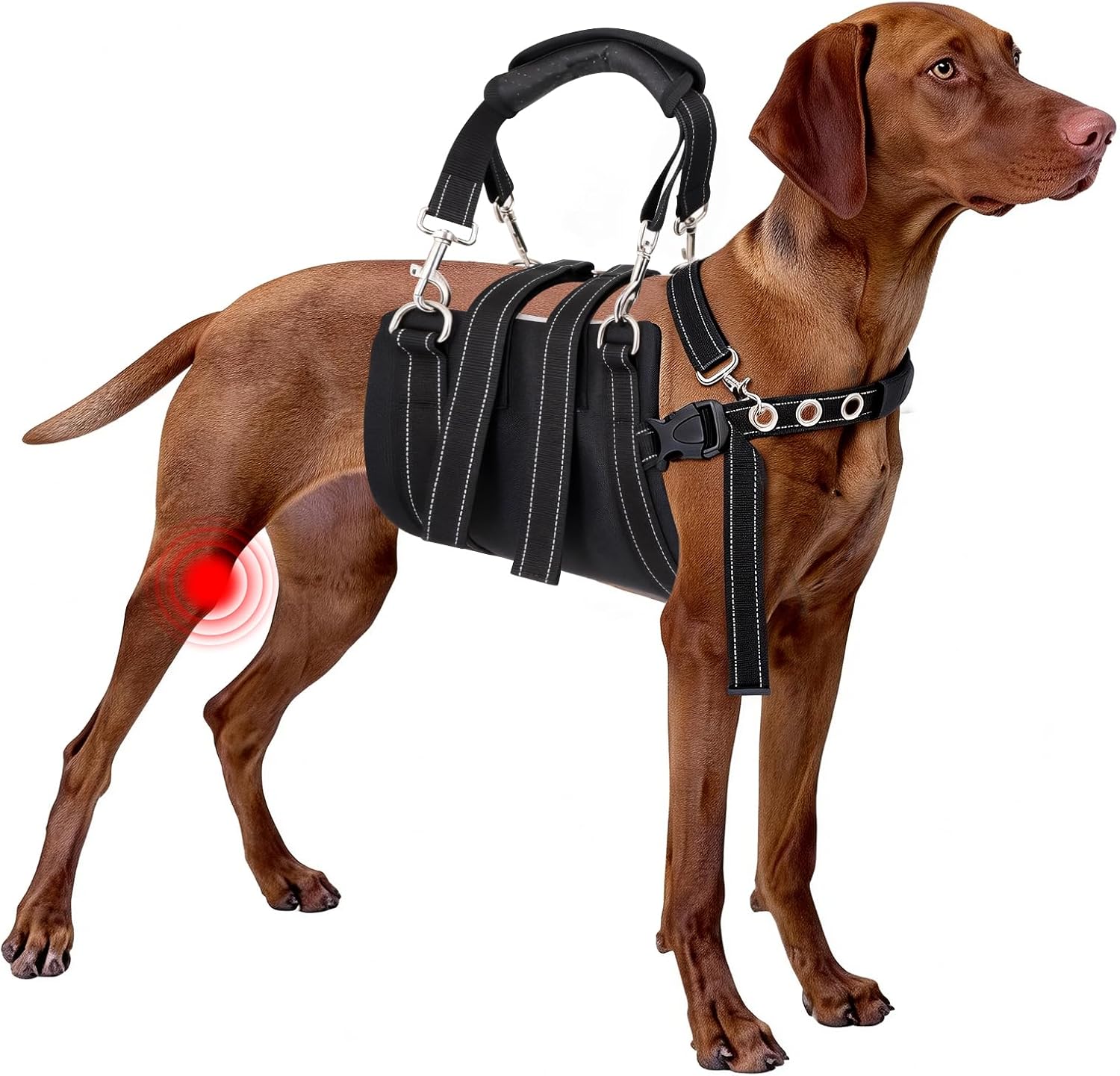 CWV Dog Sling for Back Legs, Dog Lift Harness, Magic Tape Dog Sling for Large Dogs Hind Leg Support, Elderly Dog Lifter, Large