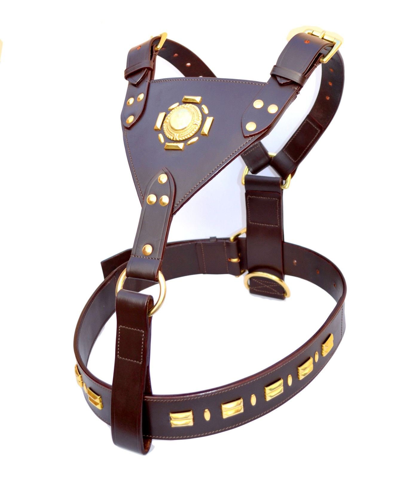 SIE EQUESTRIAN Stark Leather Dog Harness SIE SET (Havana, Xx Large)