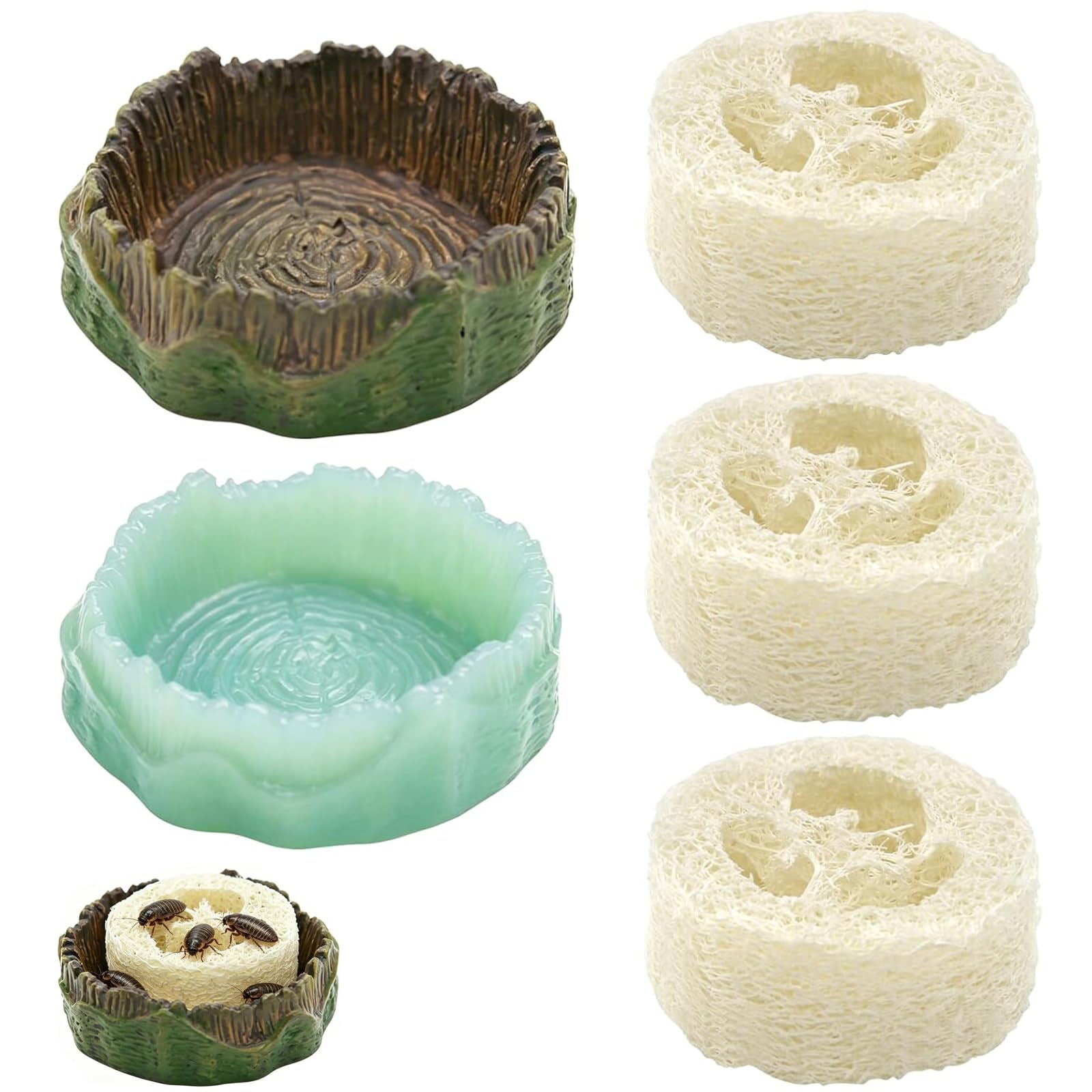 5-Piece Reptile Water Bowl Set for Terrariums