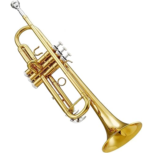 Professional Bb Trumpet, Gold Lacquer Brass, Standard Size with Silver Plated Valves