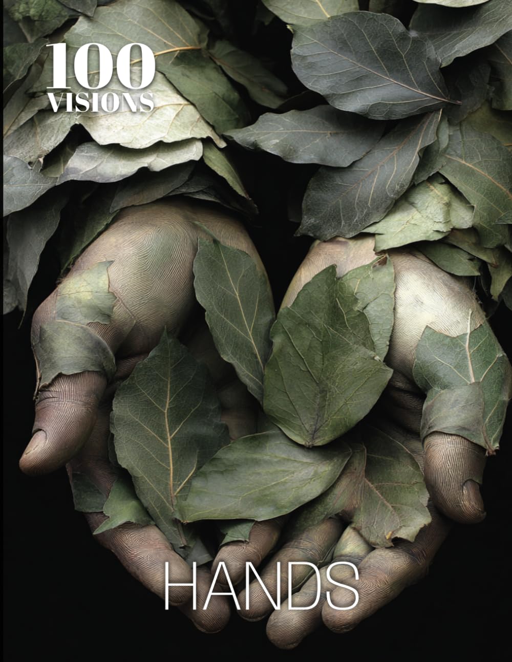 100 VISIONS: HANDS: A Visual Exploration of Hands Through Art