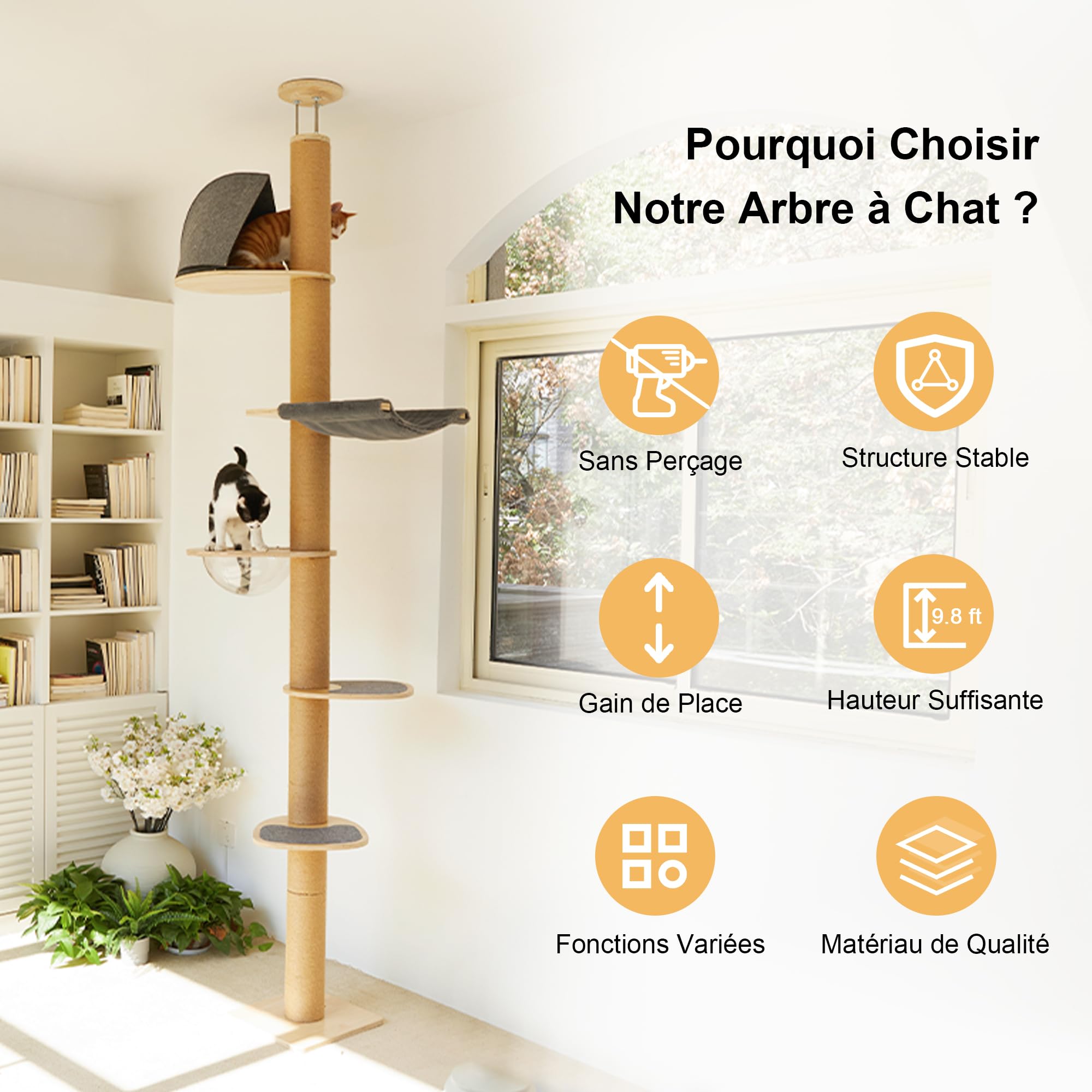 FUKUMARU Arbre à Chat du Sol au Plafond, Tour d'escalade à 6 Niveaux de Hauteur Réglable avec Griffoirs Épais, Centre d'Activité pour Chat avec Capsule Transparente et Hamac Douillet
