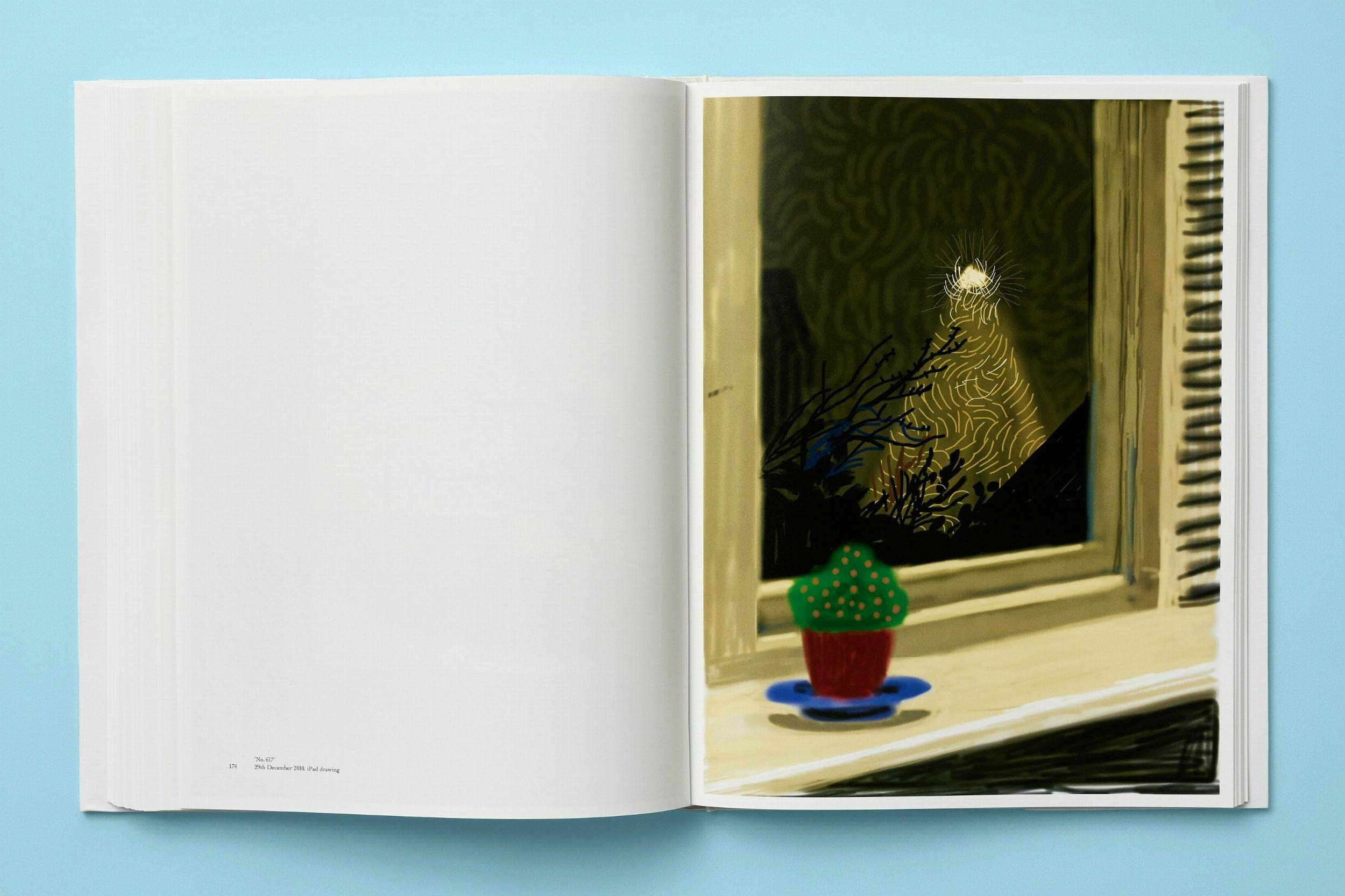 David Hockney: My Window (XL)