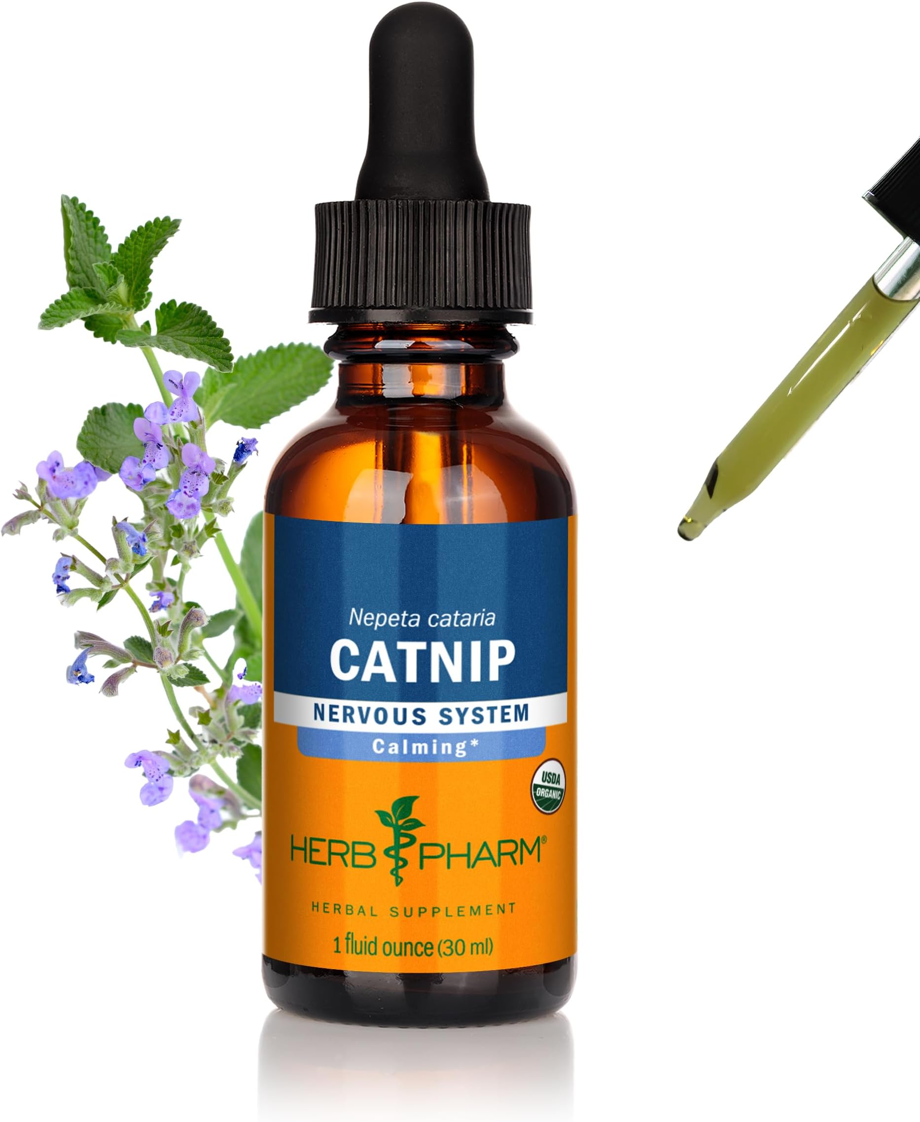 Herb Pharm Catnip Liquid Herbal Extract: Calming Nervous System Support | Vegan Organic Catnip Tincture | Herbal Support for the Nervous System | Non-GMO, Gluten-Free, Up to ~3 Week Supply, 1 oz*