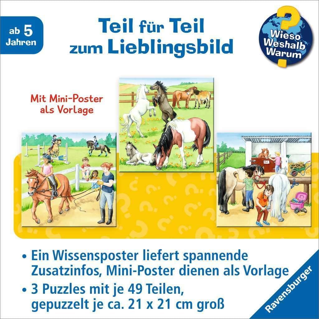 Ravensburger Children's Puzzle 05129 - A Day at The Riding Yard - 3 x 49 Pieces Wieso? Weshalb? Warum? Puzzle for Children from 5 Years