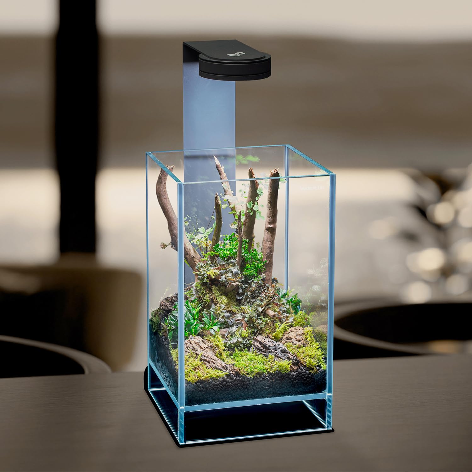 Terrario Terrarium in Vetro Extrachiaro con LED Integrato, Design Elegante per Ecosistemi Naturali e Giardini Acquatici, Dimensioni 15x15x25 h cm