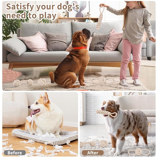 Foto 5 de 7 de 5 Stück Hundespielzeug Seil,Seilspielzeug für kleine Hunde,Hundespielzeug Seil mit Knoten Ball,Gegeflochtene…