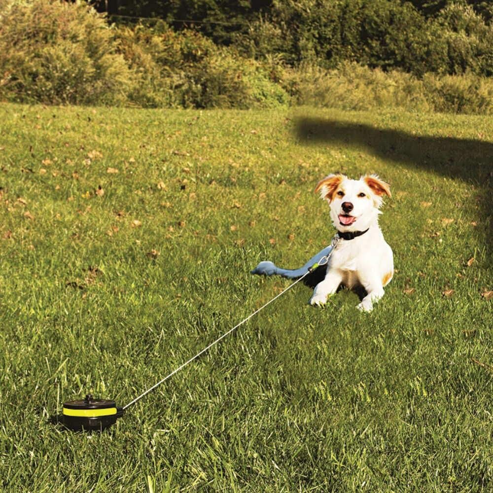 Attache Laisse Chien Lixit - Système Rétractable 6.1m - Support Inclus - Taille M 25-36kg