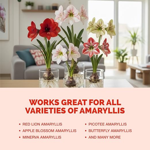 Fertilizante líquido para plantas de 8 oz - Promueve flores grandes y bulbos fuertes miniatura 9