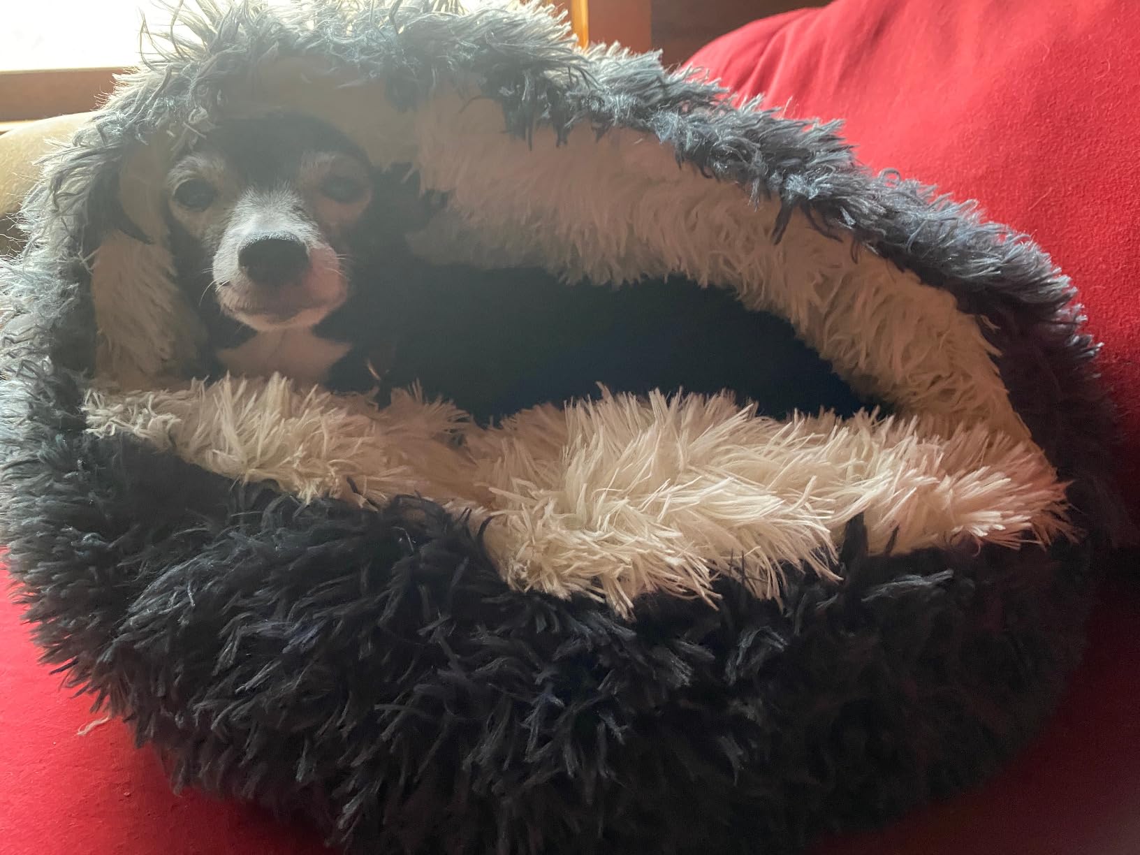 Pet Cave Beds for Dogs​, Cozy Cave Cat Bed​ photo review