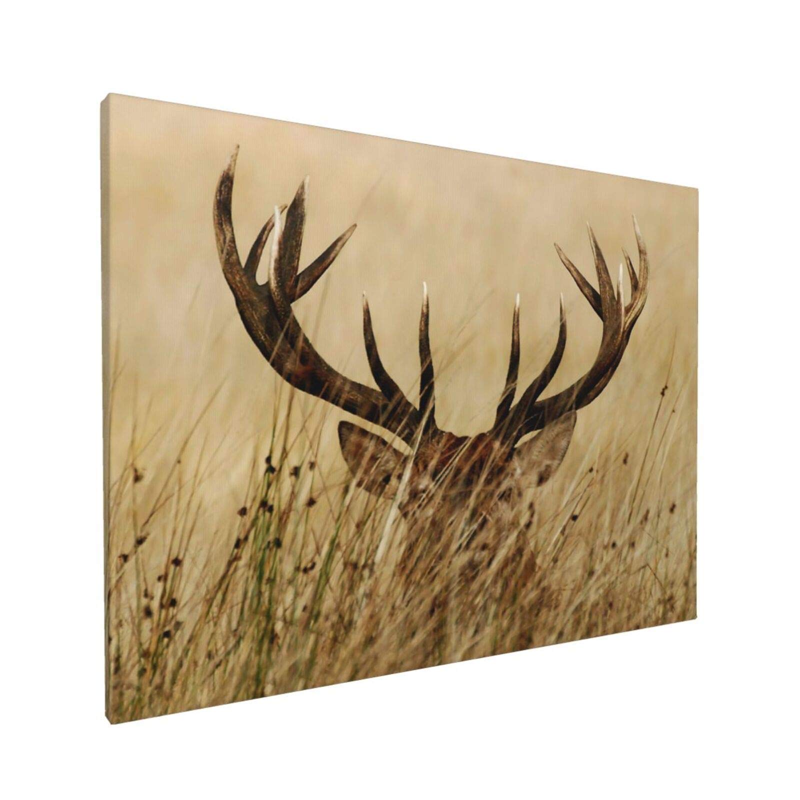 Buy EZYES Antler Painting, Whitetail Deer Fawn In Wilderness Stag In