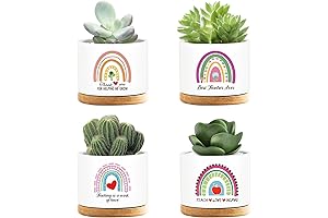 Teacher Appreciation Gifts, 4 Pack Funny Ceramic Cactus Shape Succulent Planter Pot...
