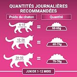 PURINA ONE Kitten Poulet Céréales Complètes 1,5KG(6 pack) - 5