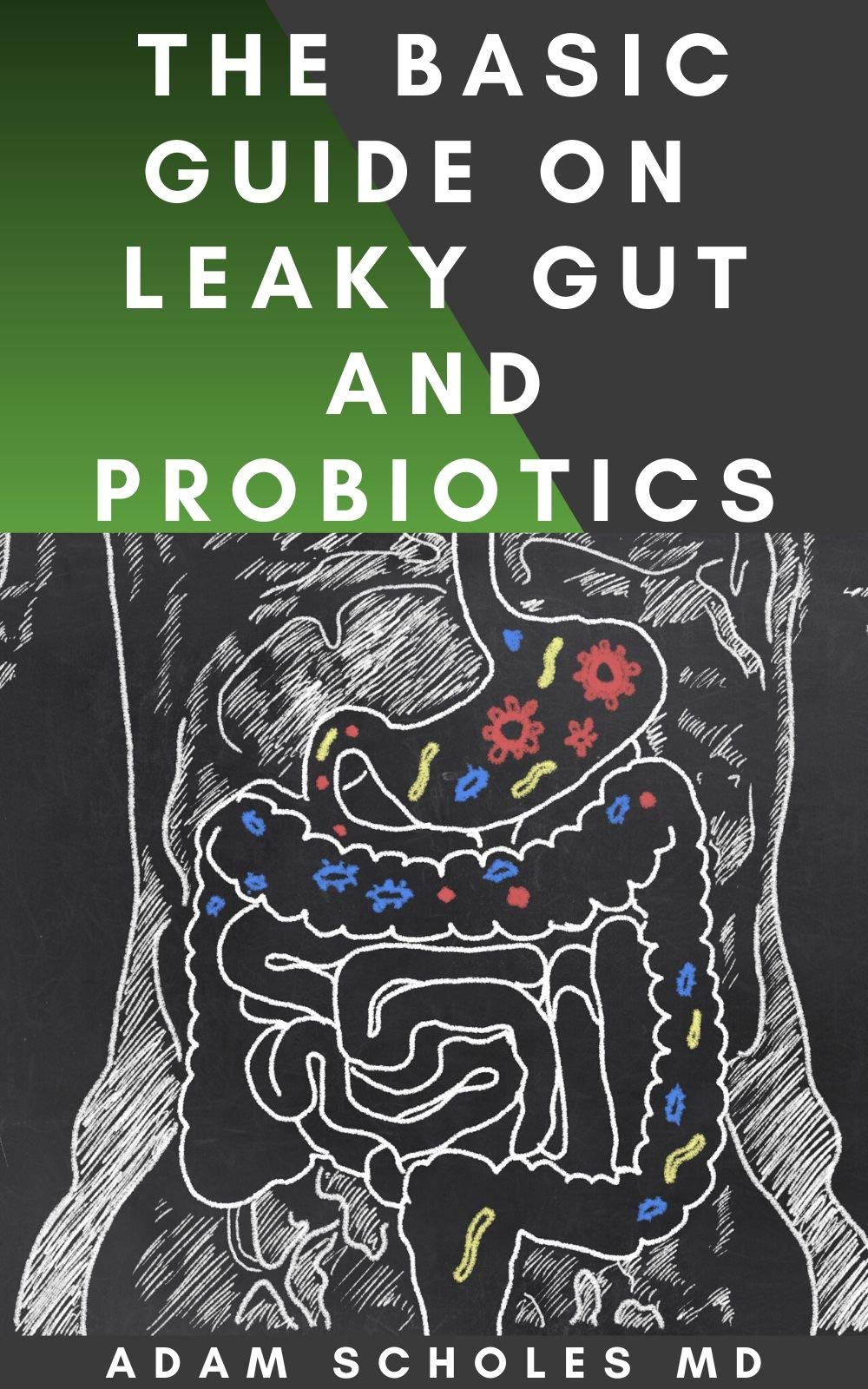 Buy THE BASIC GUIDE ON LEAKY GUT AND PROBIOTICS All You Need To Know
