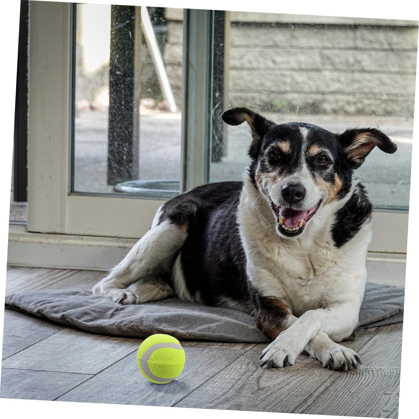 UPKOCH 22 Stück Teiliges Hundespielzeug Bouncy Tennisbälle aus Robustem Gummi für Kleine Mittlere und Große Hunde Interaktive Kauspielzeuge zur Spiel und Trainingseinheit Fördert