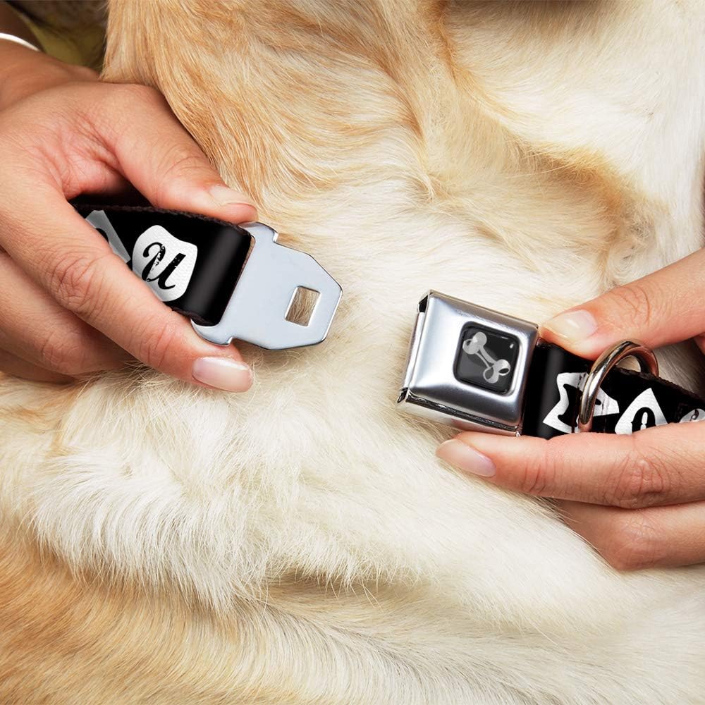 Dog Collar Seatbelt Buckle Punk You Black White 13 to 18 Inches 1.5 Inch Wide