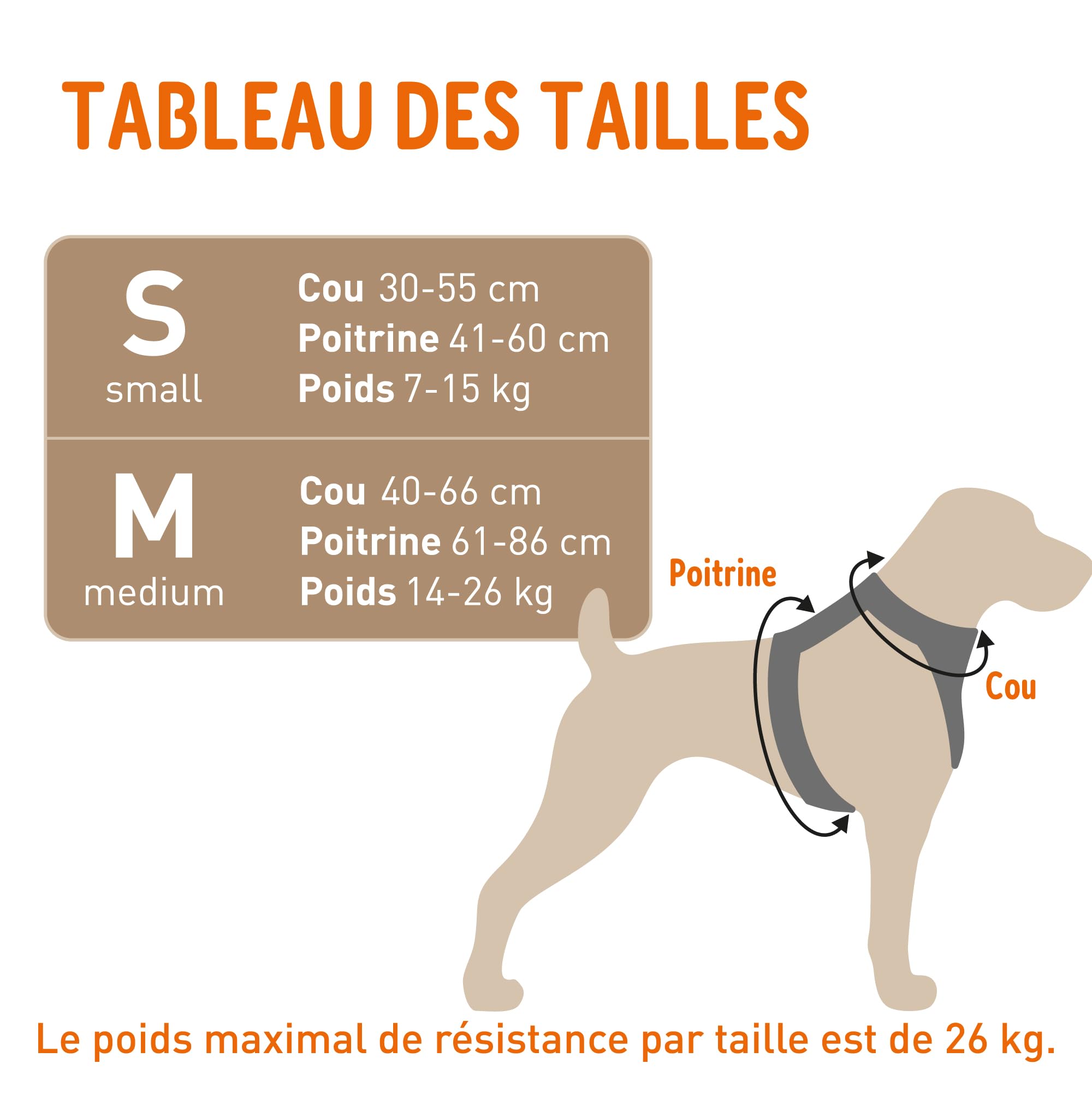 Zolux Travel Safe Harnais de Sécurité Auto pour Chien S - Noir - Chiens 7-15kg - Fixation ISOFIX + Top Tether - Système Antidesserrage MASA - Crash-Testé - Ajustable - Confortable - Marque Française