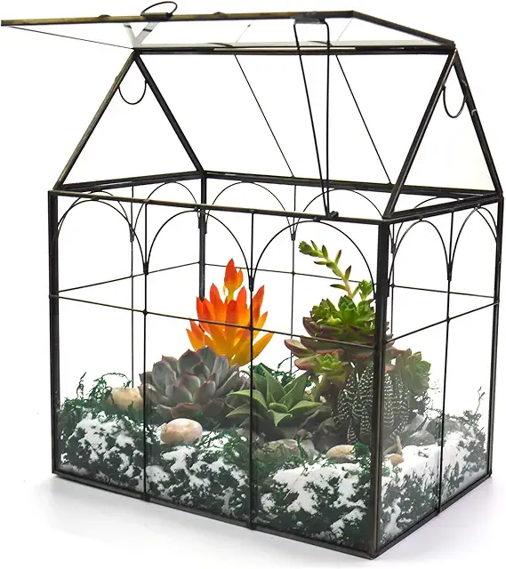 Large Tall Glass Plant Terrarium with Lid - Indoor Desk Tabletop Container for Succulents & Orchids