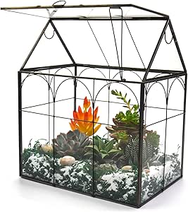 Large Tall Plant Terrarium Glass with Lid, 8.7x5.9x10.6 in