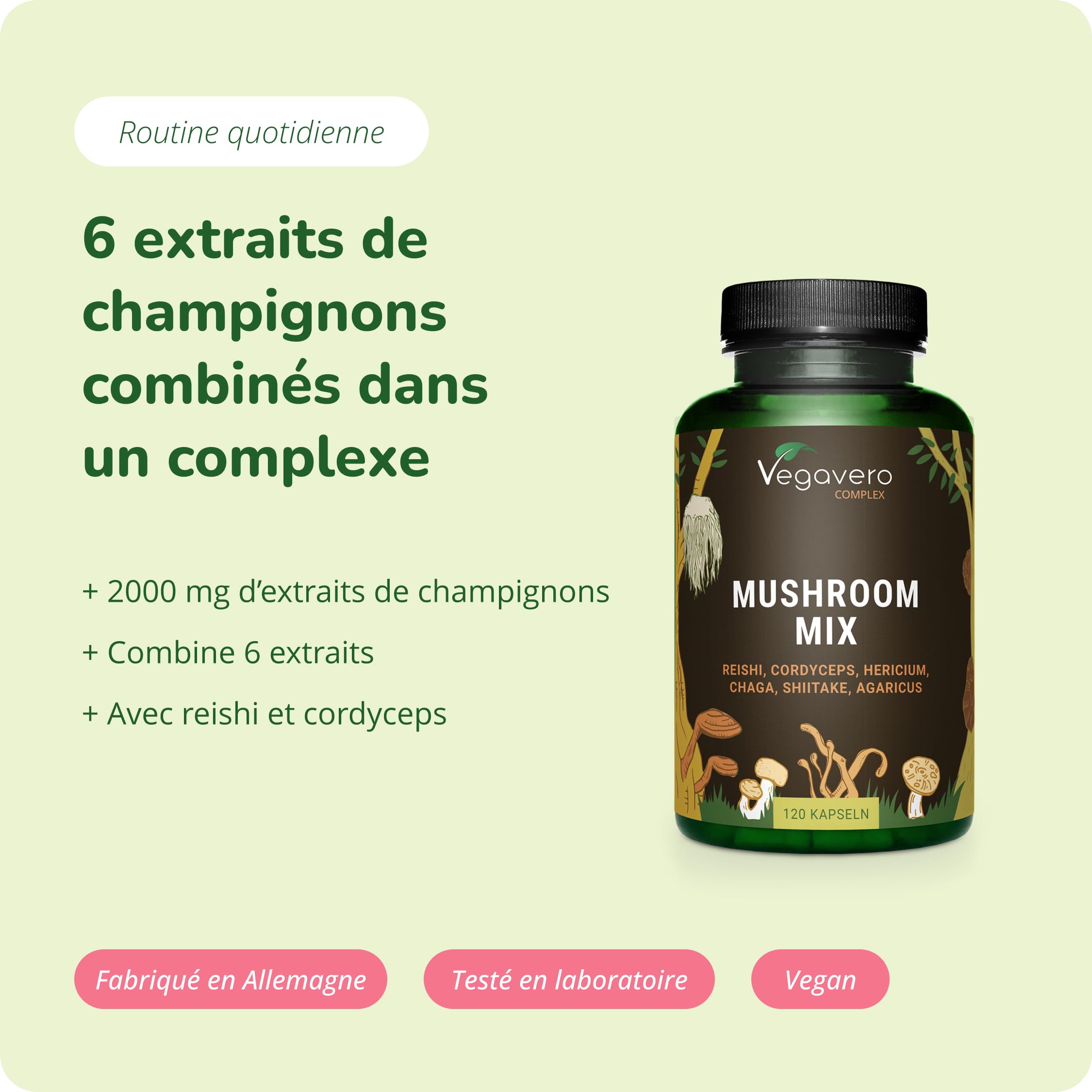 Complexe Champignons 2000 mg | UNIQUE : Extraits Puissants | Hericium, Reishi, Cordyceps CS-4, Shiitake, Chaga, Agaricus | Système Immunitaire | 120 Gélules | Vegan | Vegavero®